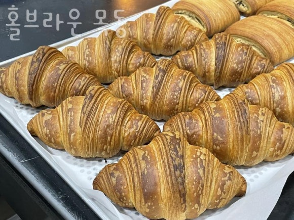 홀브라운 목동 이미지