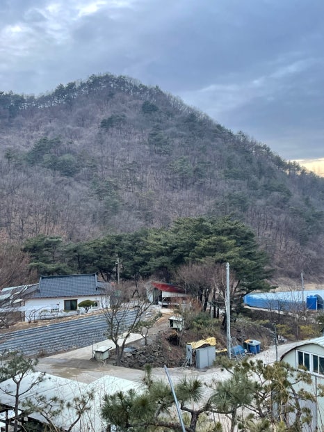 최영골민박 이미지