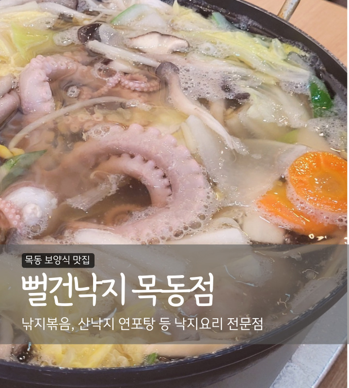 뻘건낙지 이미지