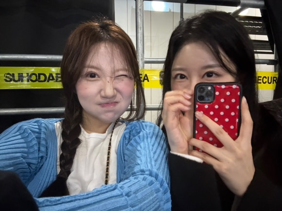 월드영 이미지