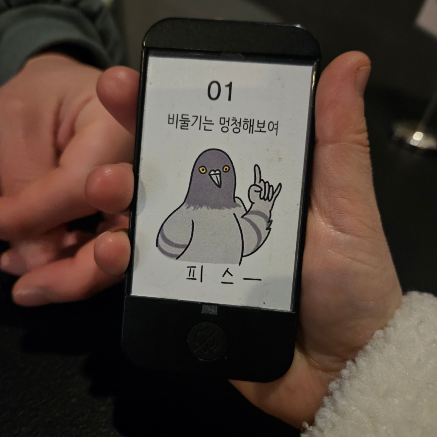 비둘기는멍청해보여 이미지