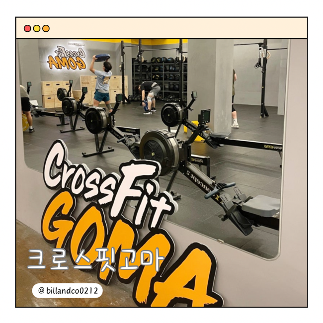 크로스핏고마 이미지