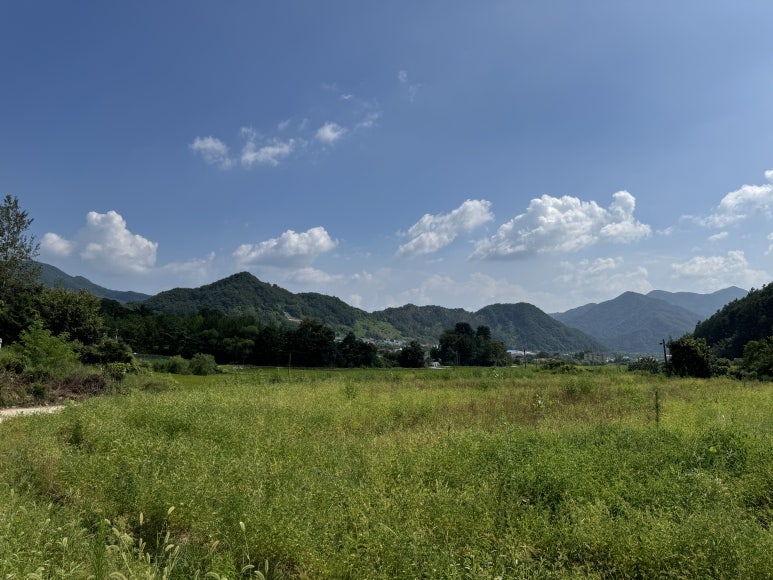 중앙탑막국수산척점 이미지