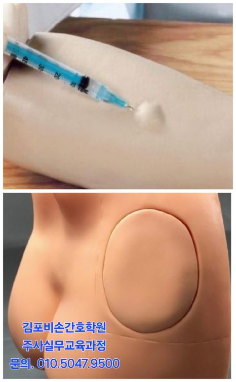 비손간호학원 이미지