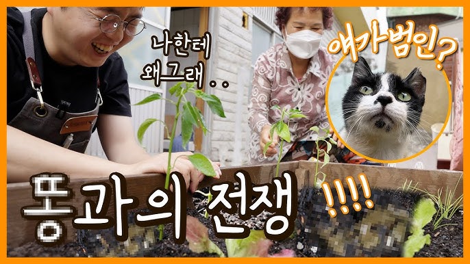 호천마을주민협의회 이미지
