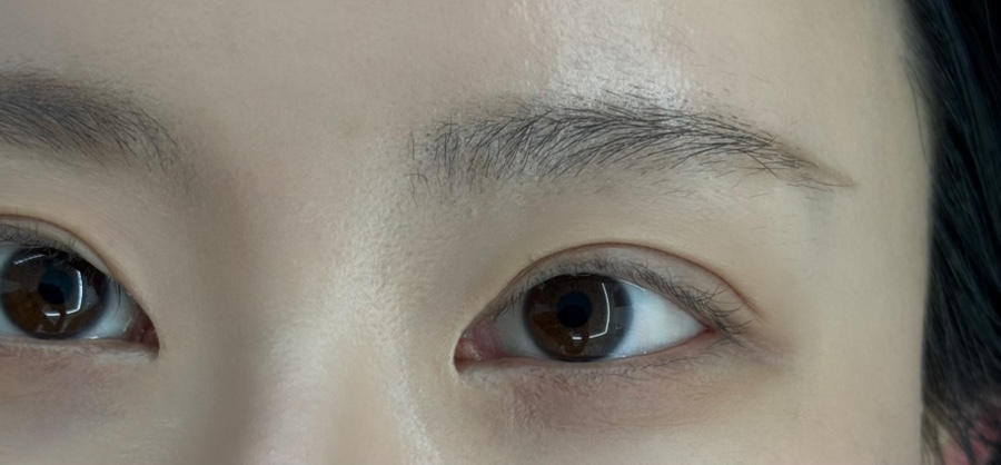와니속눈썹 이미지