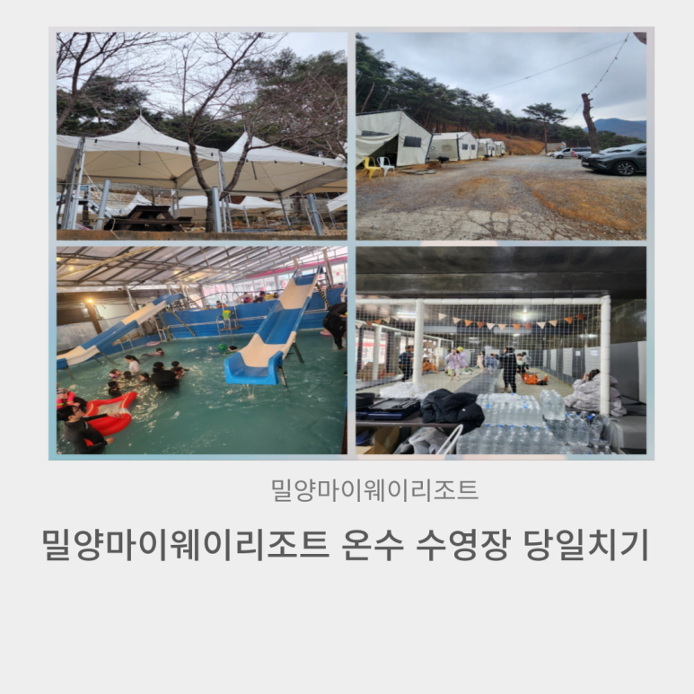 마이웨이시스템 이미지