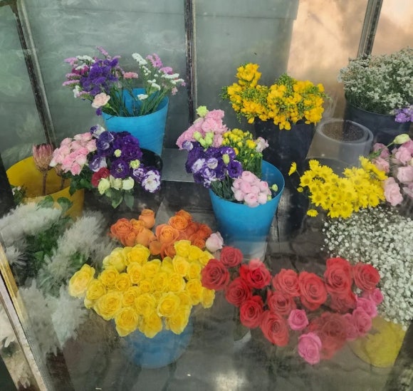 장암화원 이미지