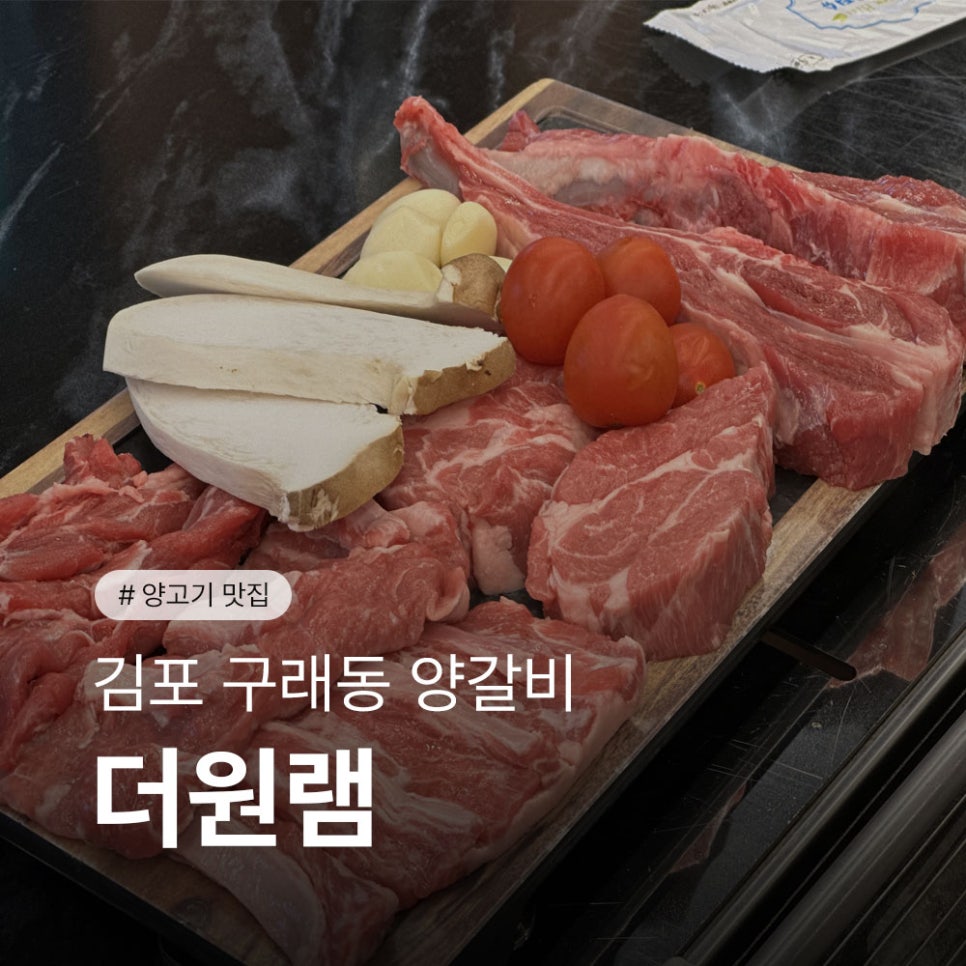 더원 램 이미지