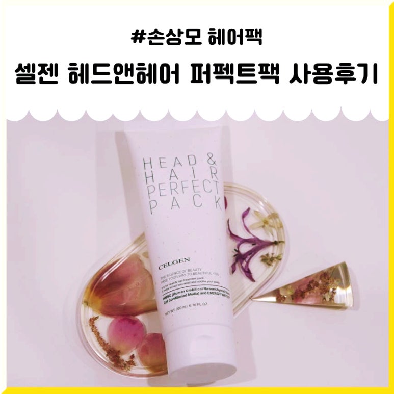 셀젠 이미지