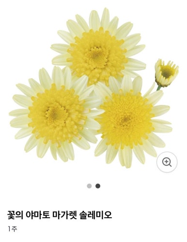 써니유통 이미지