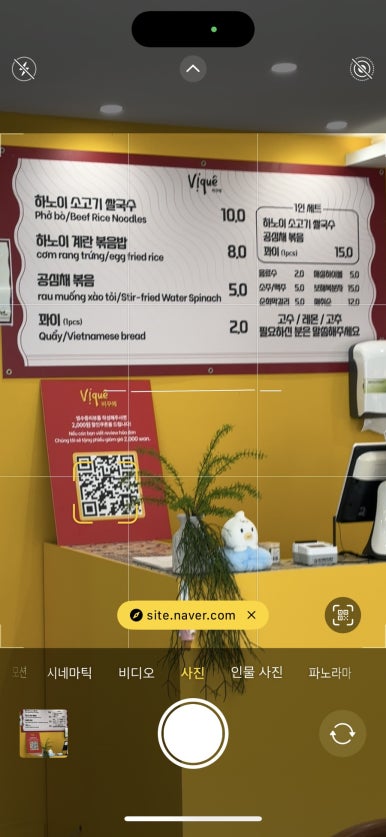 비꾸에 이미지