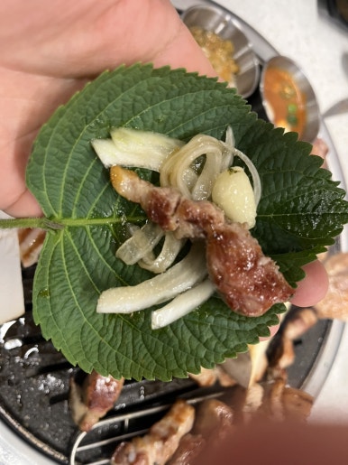 달동돼지달돈 이미지