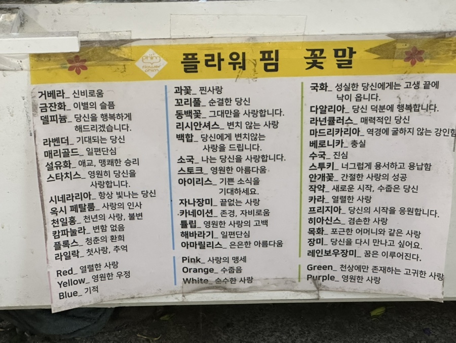 원종인의Flower 이미지