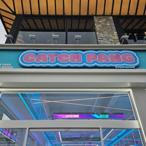 캐치팡 이미지
