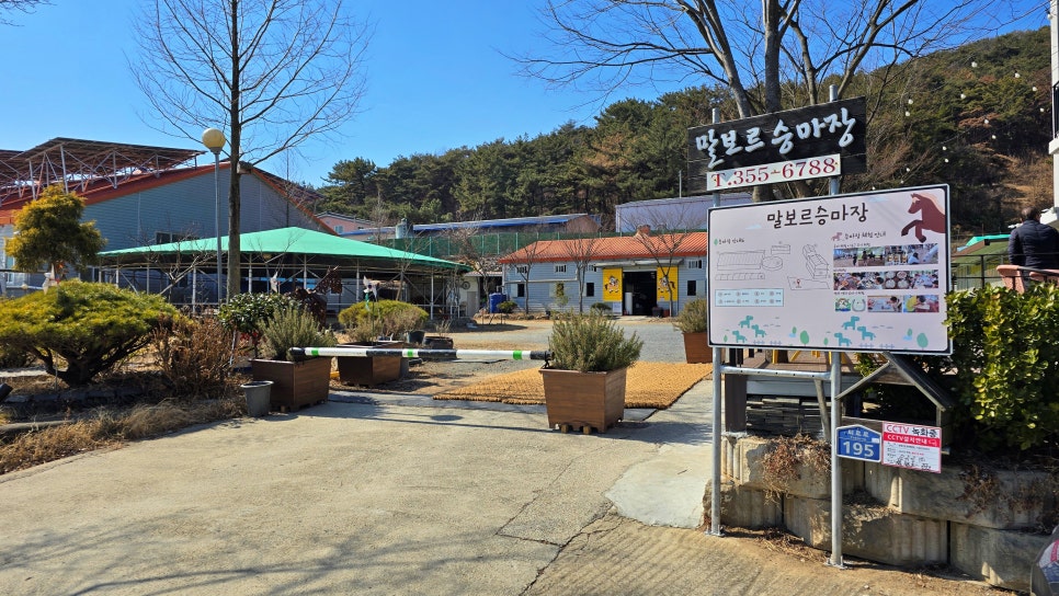 말보르승마장 이미지