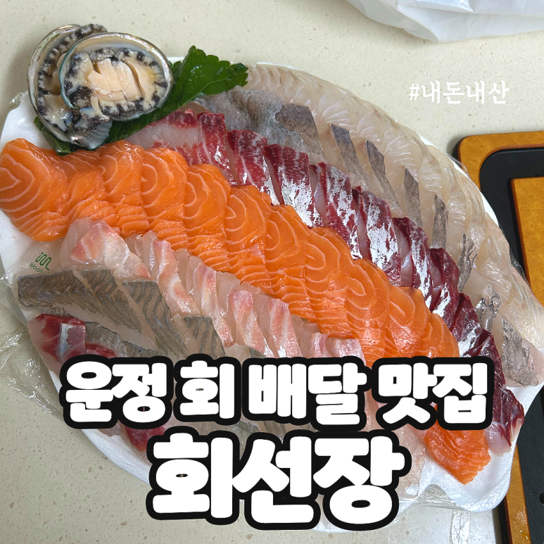 회선장 이미지