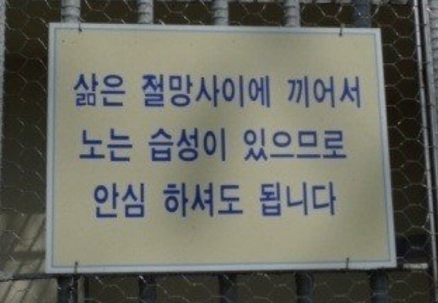 파란나라 이미지