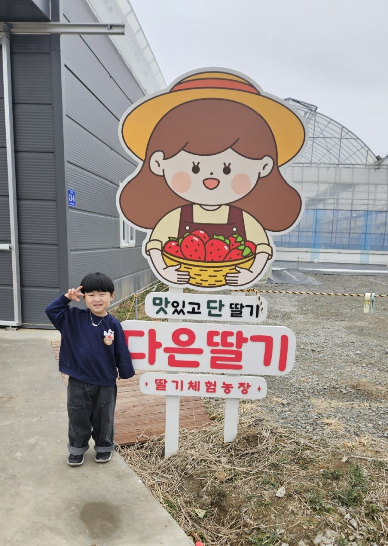 다은딸기 이미지