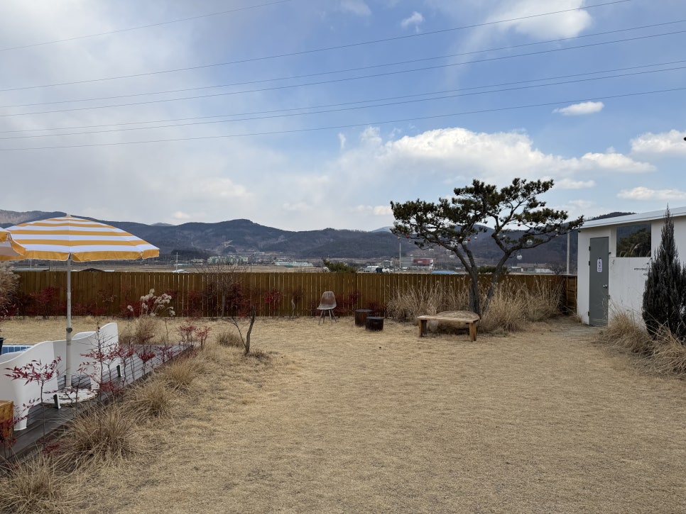 온화한가온송 이미지