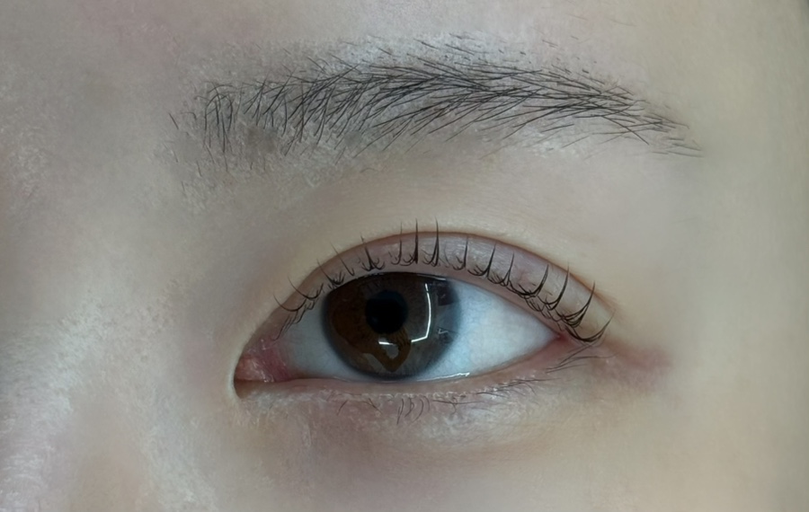 와니속눈썹 이미지