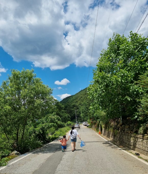 camp 80 이미지