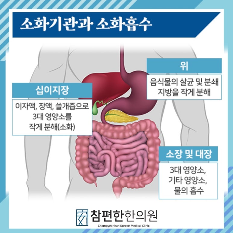 참좋은한의원 이미지