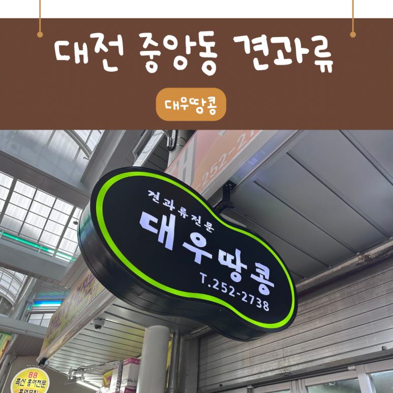 대우땅콩 이미지