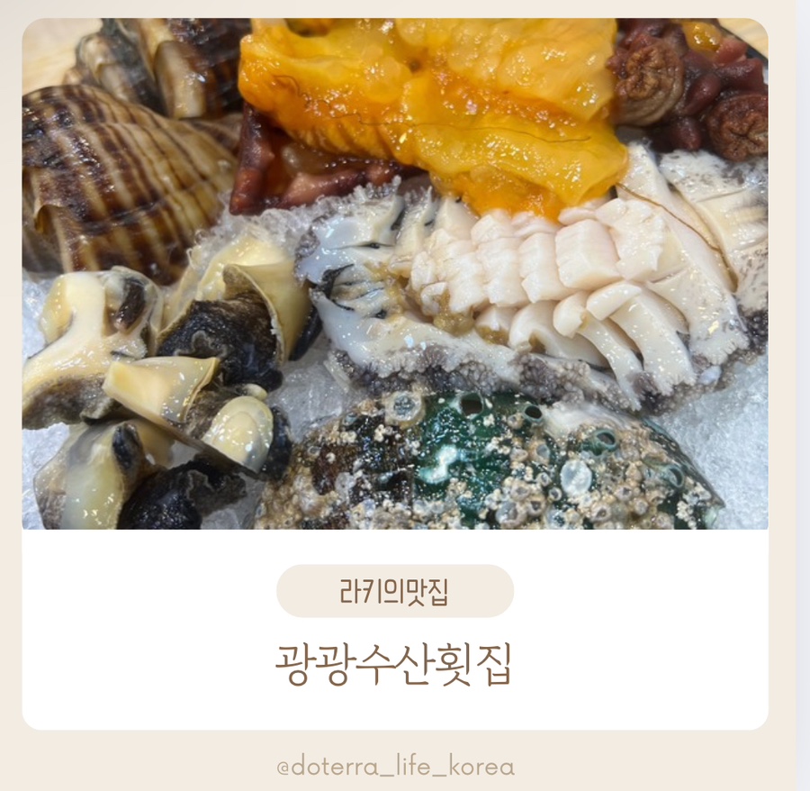 광광수산횟집 이미지