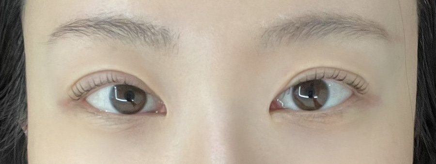 와니속눈썹 이미지