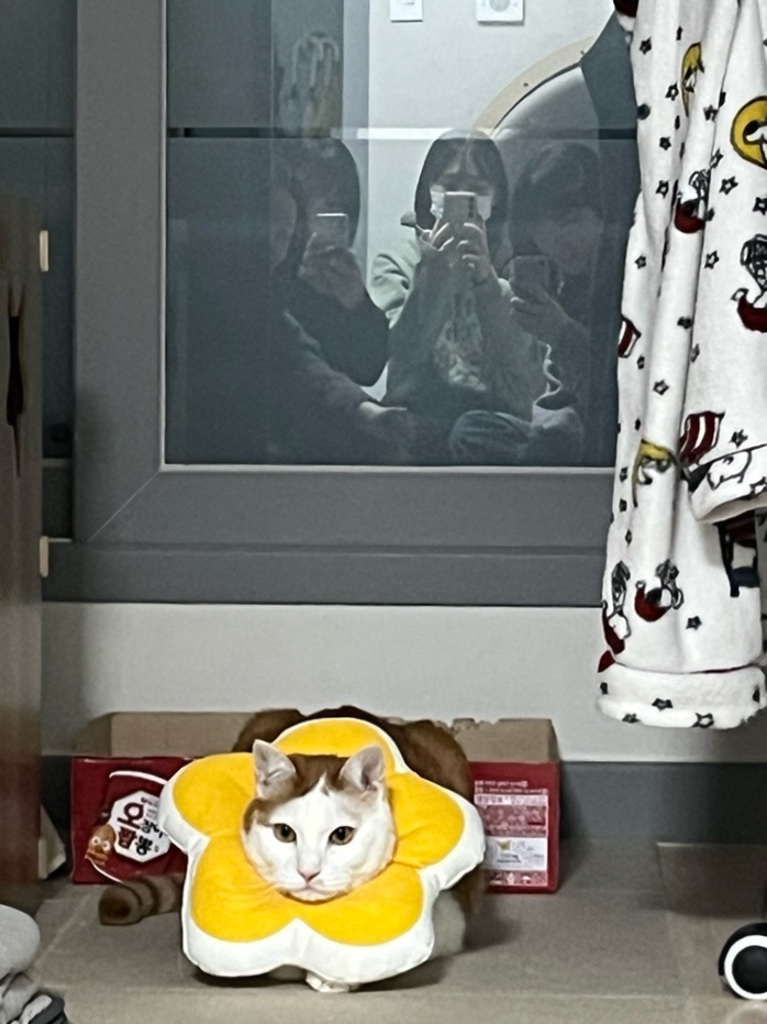 베베한 이미지