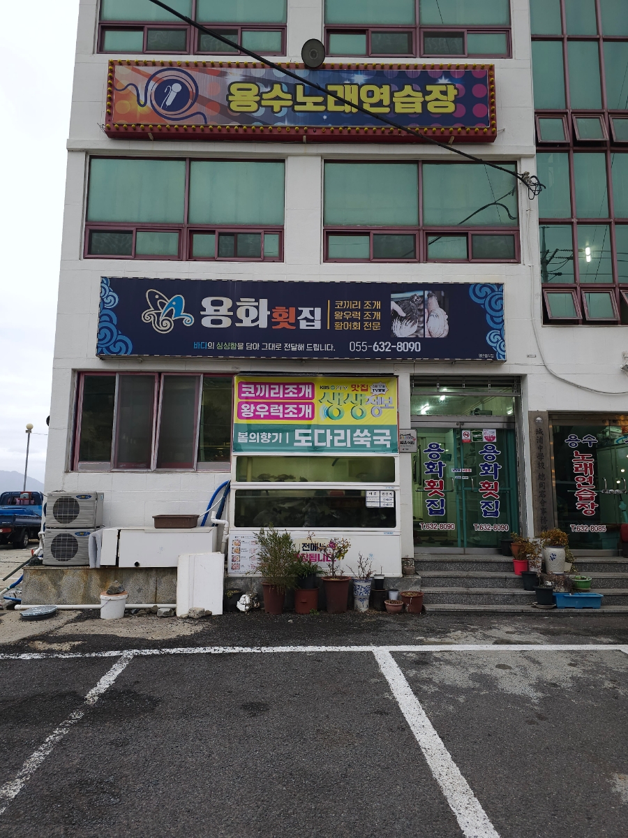 코끼리노래연습장 이미지