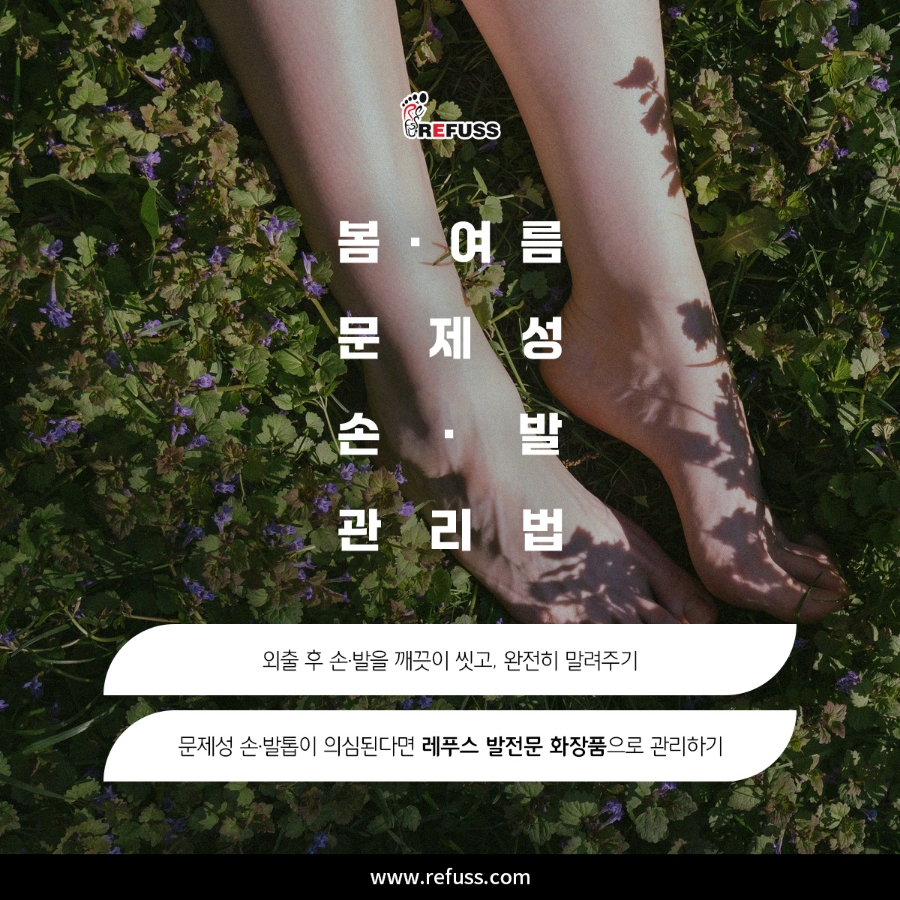레푸스 이미지