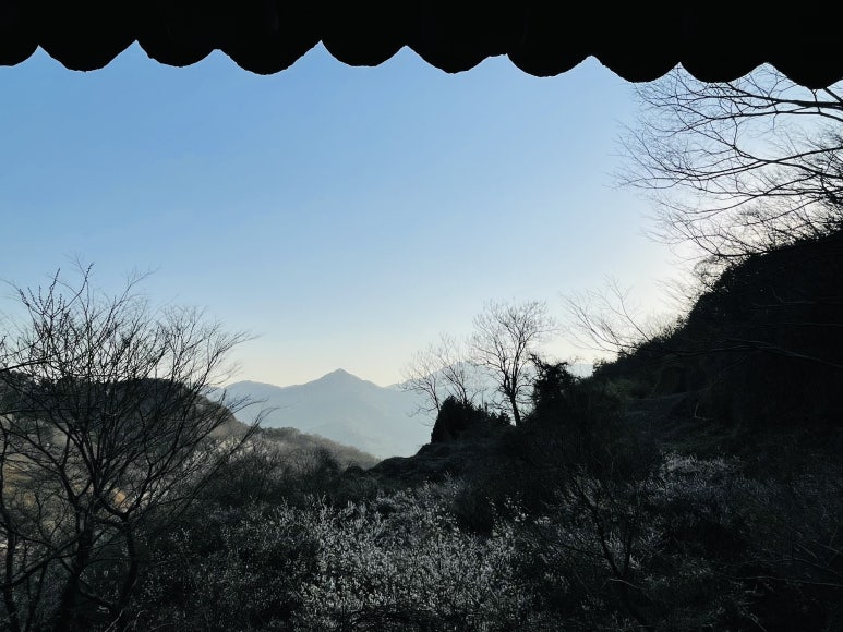 산민박 이미지