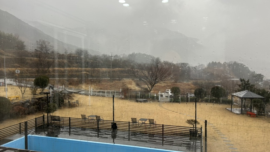 런닝독 이미지