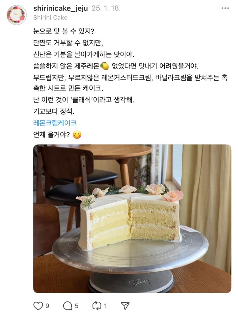 쉬리니케이크 이미지