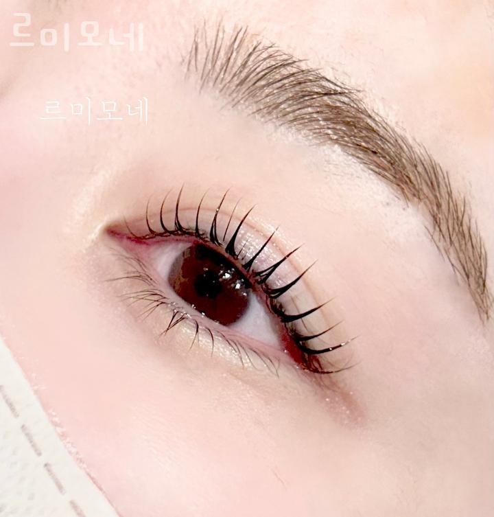 르미모네 이미지