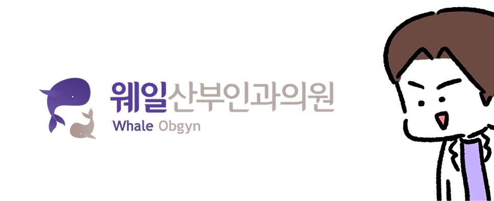 제이웨일 이미지