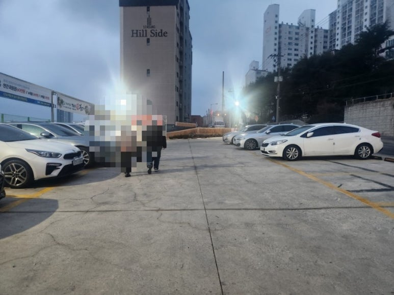 국제냉삼 이미지