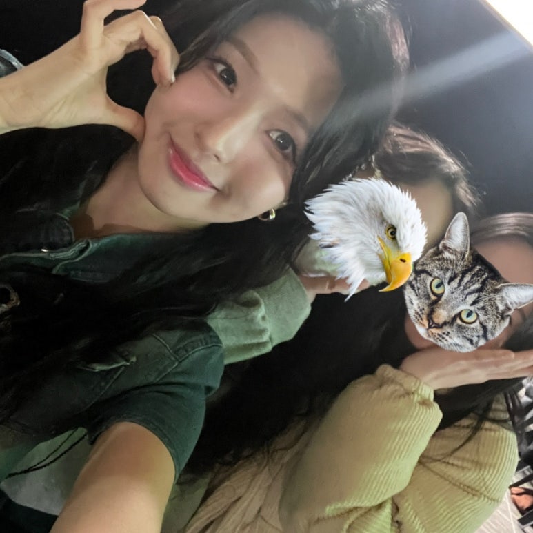 플레타짐 이미지