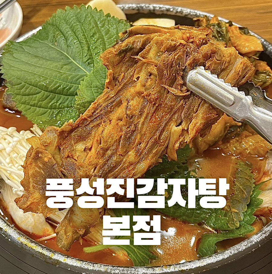 풍성진감자탕 이미지