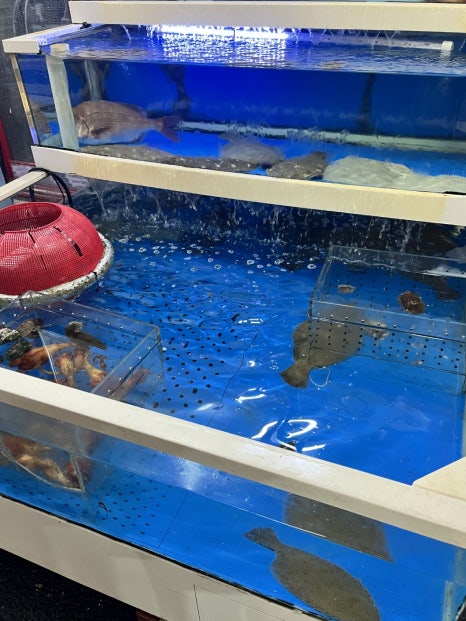 왕도매회어시장 이미지