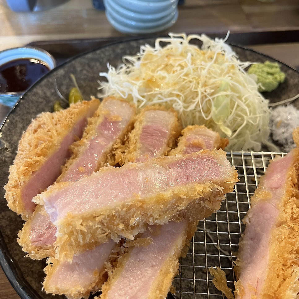 카츠닉 이미지