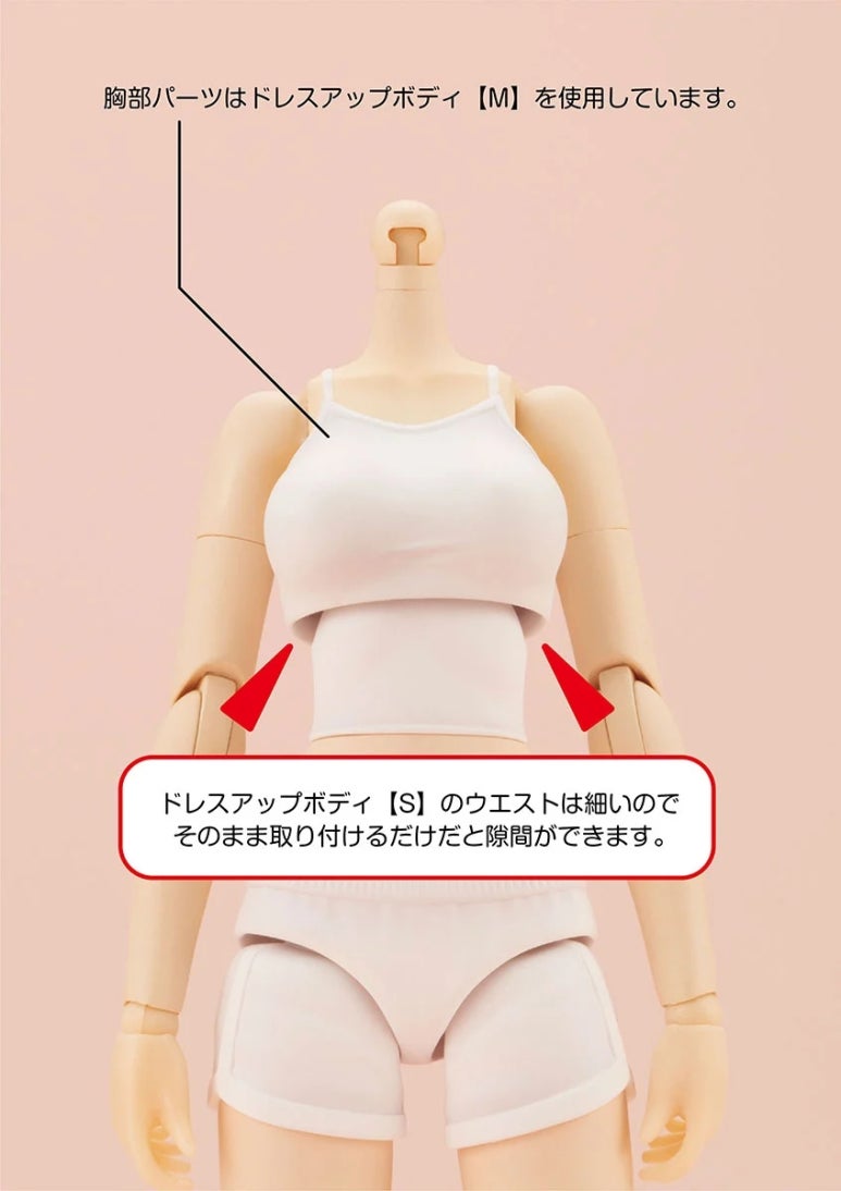 바디S 이미지