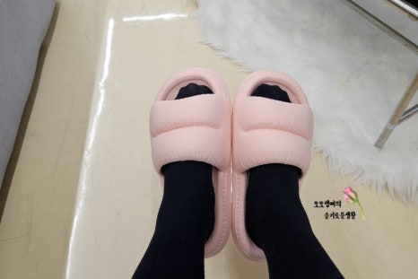 모먼아트 이미지