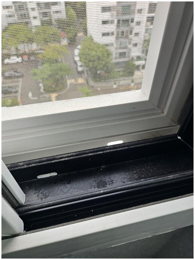 윤클린 이미지