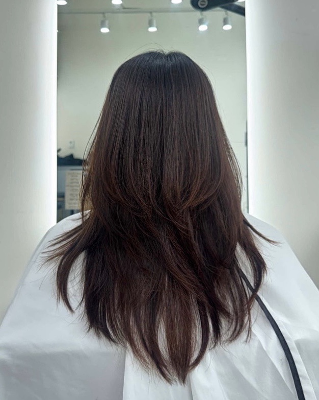 주아르헤어 이미지
