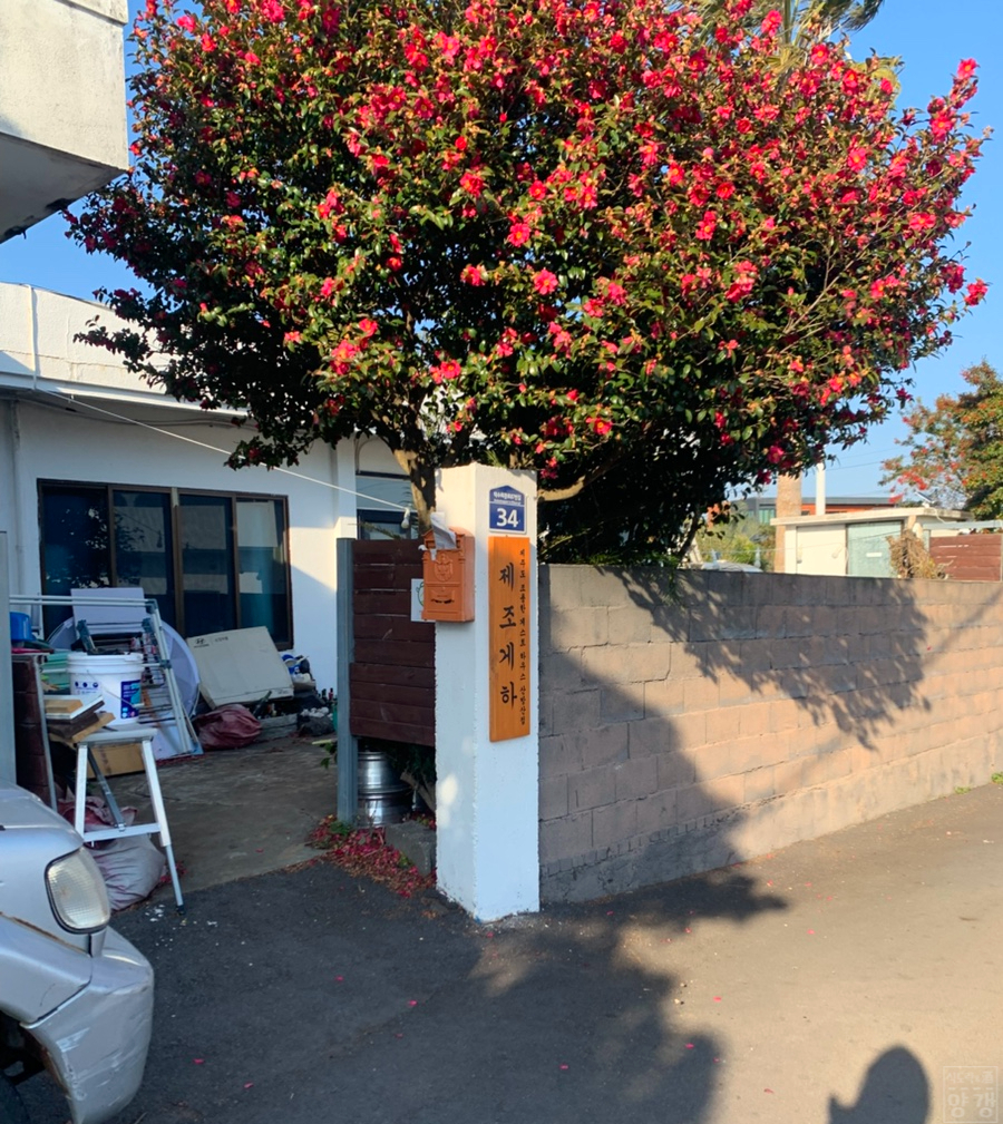 제주도조용한게스트하우스산방산점 이미지