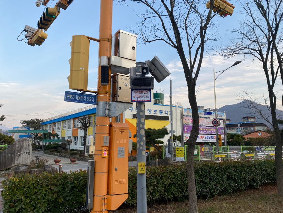 벨시스 이미지