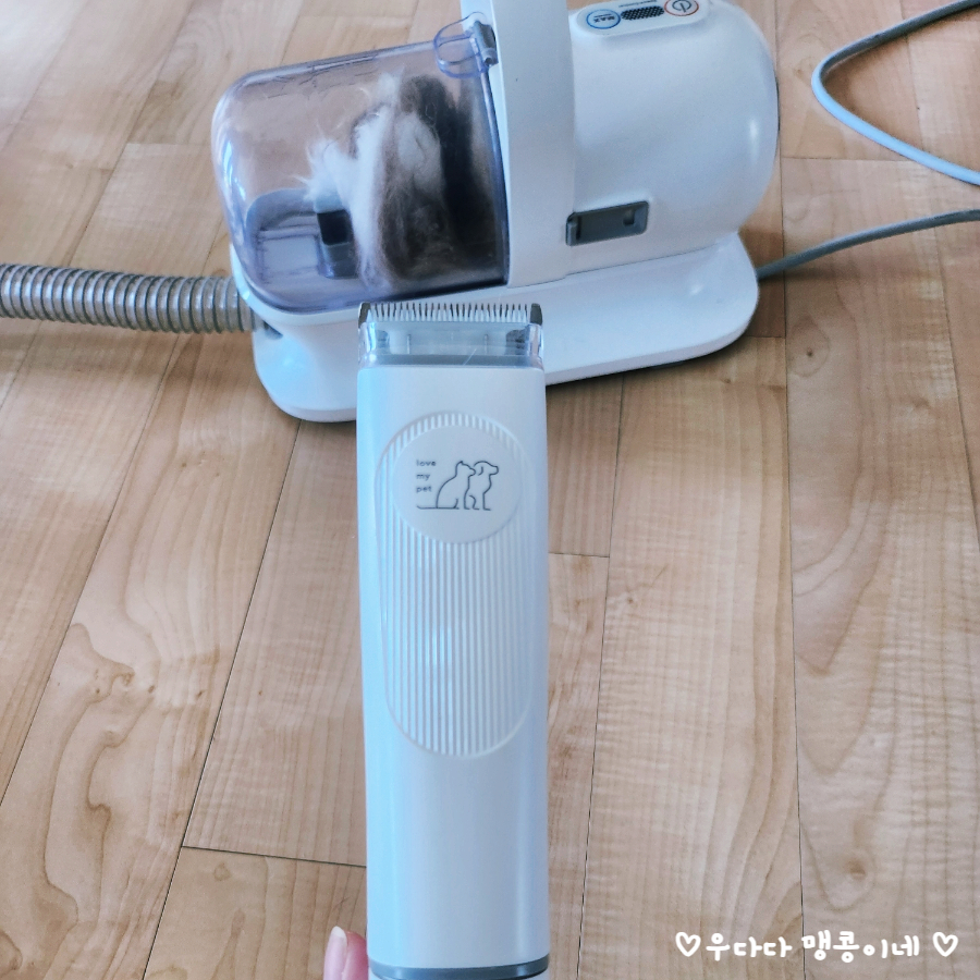고양이 진공 바리깡 셀프 미용 후기: 럽마이펫 시즌1 — 사진 6
